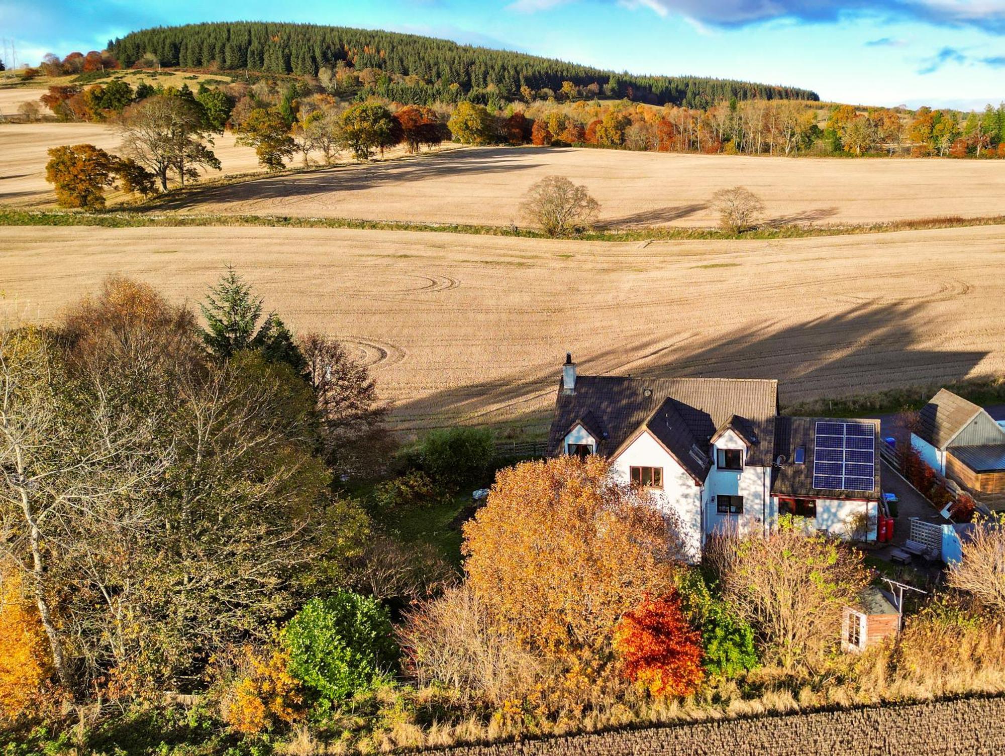 Beechwood Lodge Guesthouse Alness Exterior foto